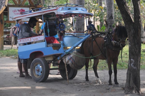 tn_065  Gili Air.JPG