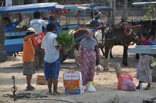 tn_118  Gili Air.JPG