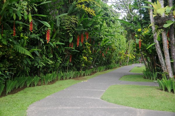 tn_124  Ubud Sri Bungalows.JPG