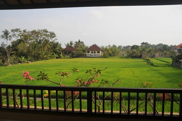 tn_143 Ubud Sri Bungalows.JPG