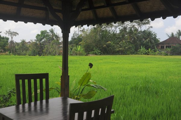 tn_152 Ubud Sri Bungalows.JPG