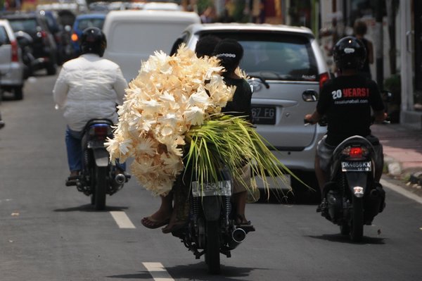 tn_169 Ubud.JPG