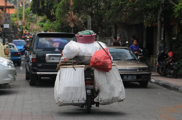 tn_170 Ubud.JPG