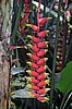 tn_129  Ubud Sri Bungalows.JPG