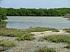 054 Lac Bay Flamingos.JPG