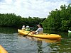 131 Lac Bay Mangrove.JPG