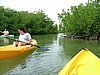 132 Lac Bay Mangrove.JPG