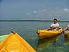 135 Lac Bay Mangrove.JPG