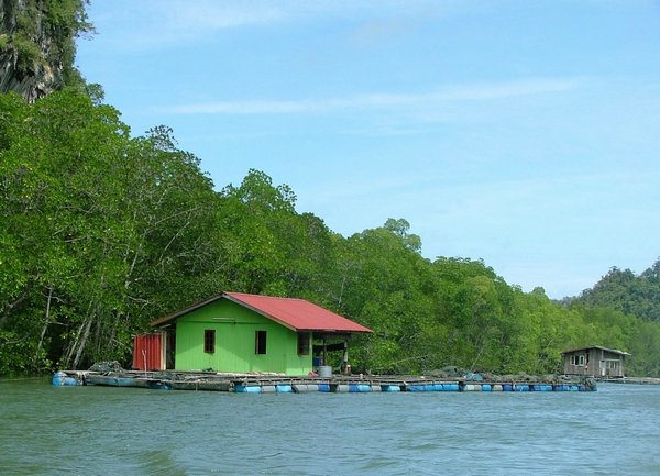 184 Fishfarm.JPG