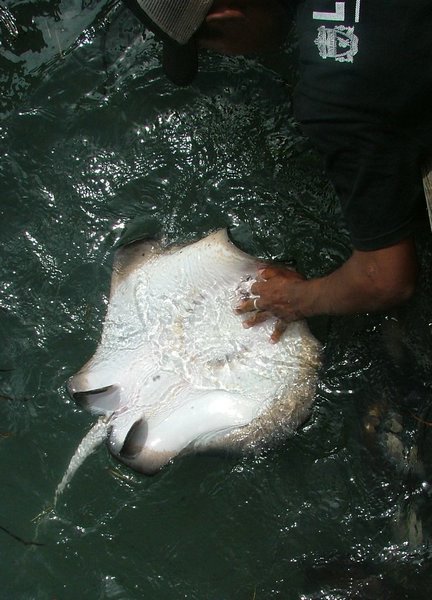187 Fishfarm.JPG