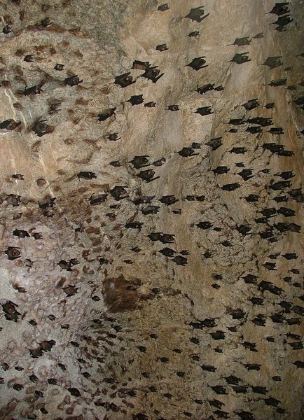 193 Batcave.JPG