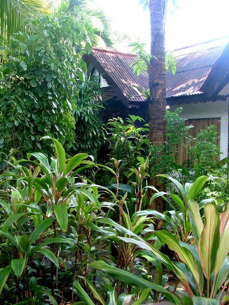 229  Sunset Beach resort.JPG