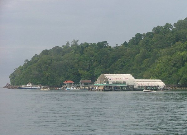 262 Langkawi Coral.JPG