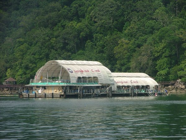 263 Langkawi Coral.JPG