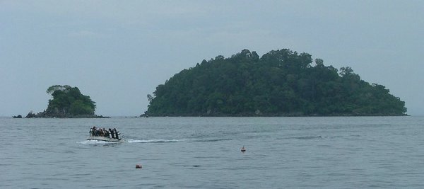 265 Langkawi Coral.JPG