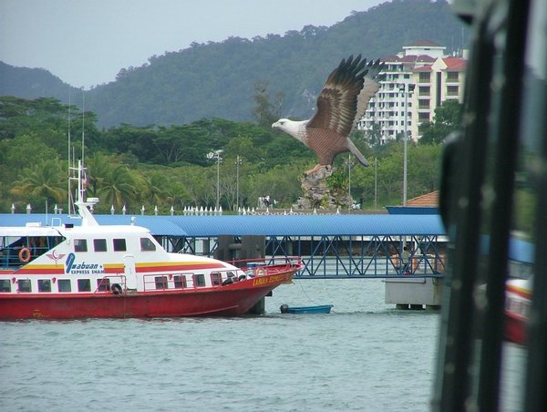 271 Langkawi Coral.JPG