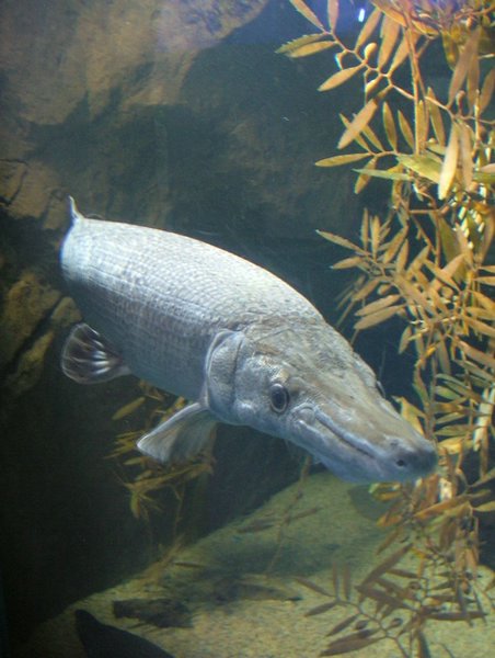 276 Underwaterworld.JPG