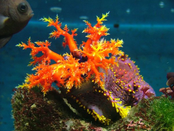 279 Underwaterworld.JPG