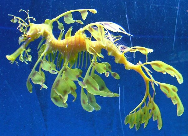 283 Underwaterworld.JPG