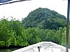 181 Mangrove.JPG