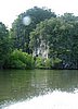 182 Mangrove.JPG