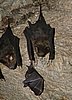 194 Batcave.JPG