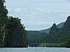 197 Mangrove.JPG