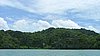 198 Mangrove.JPG