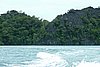 199 Mangrove.JPG