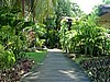 224  Sunset Beach resort.JPG