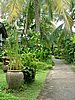 224a  Sunset Beach resort.JPG