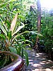 228  Sunset Beach resort.JPG