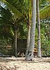 242  Sunset Beach resort.JPG
