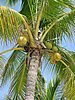244  Sunset Beach resort.JPG