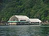263 Langkawi Coral.JPG