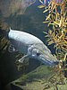 276 Underwaterworld.JPG