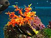 279 Underwaterworld.JPG