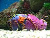 280 Underwaterworld.JPG