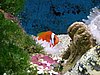 281 Underwaterworld.JPG