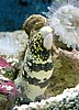 282 Underwaterworld.JPG