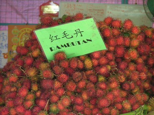 040 Rambutans.JPG