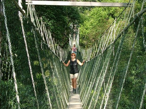 147 Taman Negara canopy walk.JPG