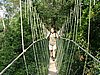 146 Taman Negara canopy walk.JPG