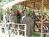 201 Olifant Sanctuary.JPG