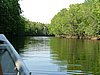 407 Cherating Mangrove.JPG