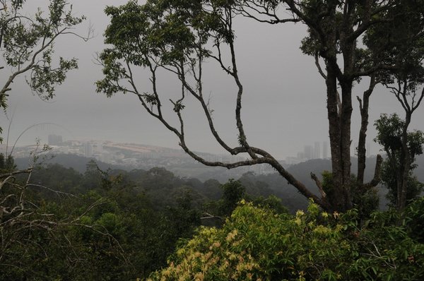 139 Penang Hill.JPG