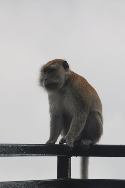 156 Penang Hill.JPG