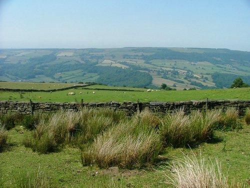 082 Yorkshire Moors.JPG