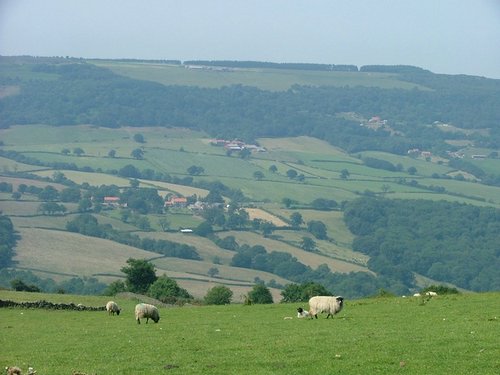 083 Yorkshire Moors.JPG