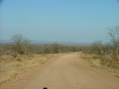 014 Krugerpark.JPG